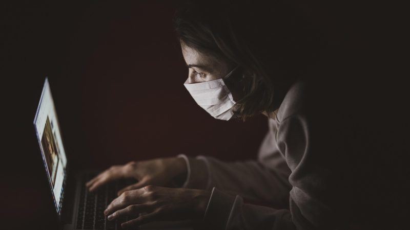 玩家评论·大家怎么说植物大战僵尸免费在线玩